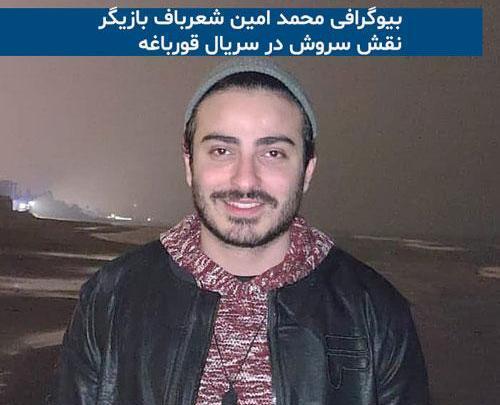 عکس بازیگر نقش سروش در سریال قورباغه