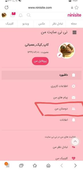 چگونه عکس پروفایل اینستاگرام دیگران را ببینیم نی نی سایت