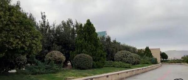 عکس پریدن ارشا اقدسی از برج میلاد