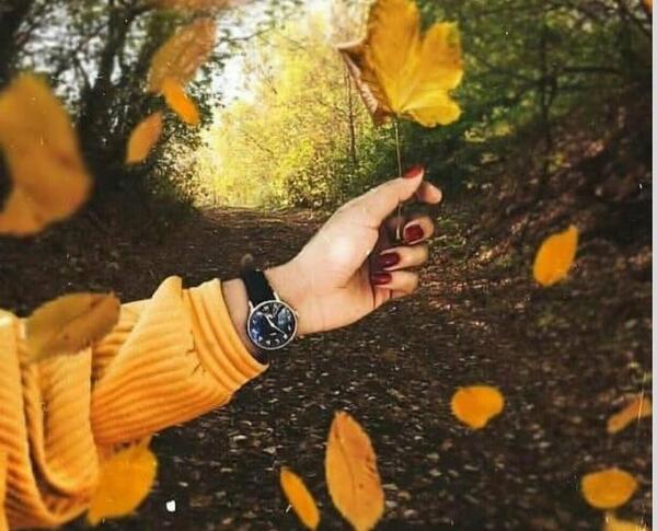 عکس پروفایل پاییزی لاکچری اینستا