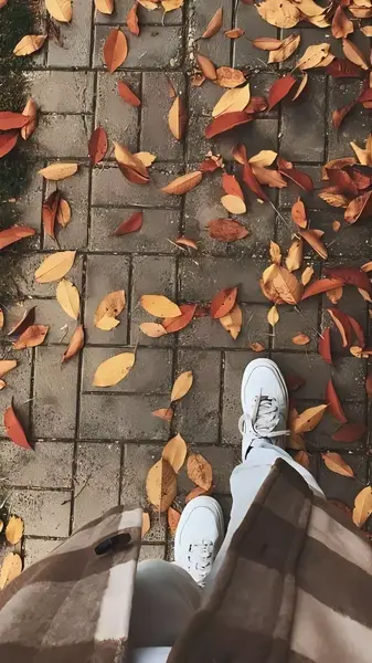 عکس پروفایل پاییزی لاکچری اینستا