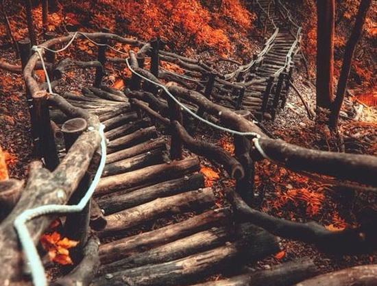 عکس پروفایل پاییزی لاکچری اینستا