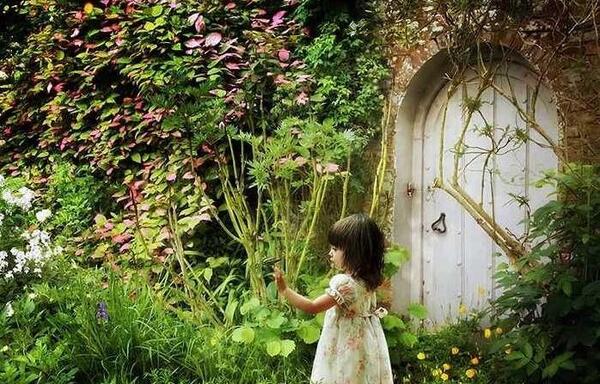 عکس سایت طراحی پروفایل اینستاگرام