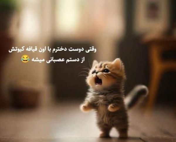 عکس پروفایل طنز برای اینستاگرام