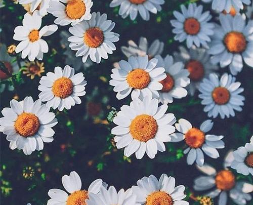 عکس پروفایل برای اینستا زنانه