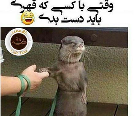 عکس پروفایل خنده دار برای اینستا