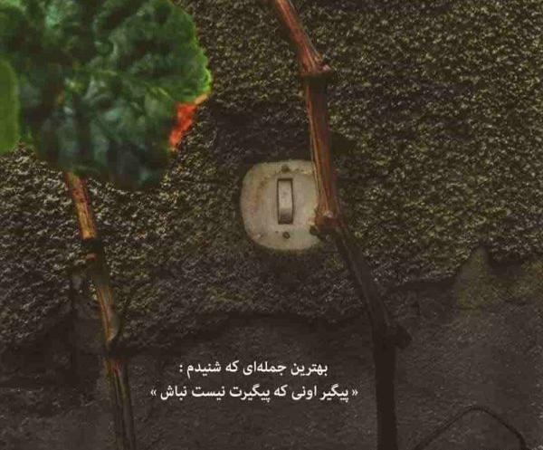 عکس پروفایل استوری اینستا