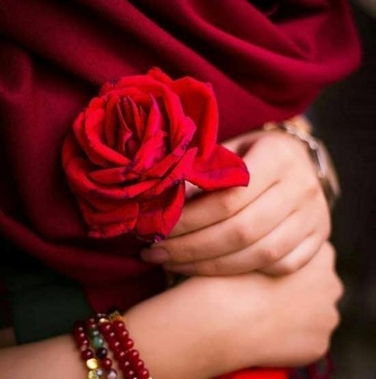 عکس گل واسه پروفایل اینستا