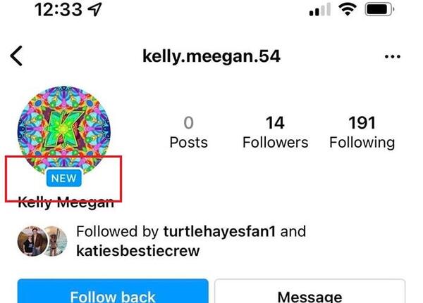 چگونه عکس در پروفایل اینستاگرام بگذاریم