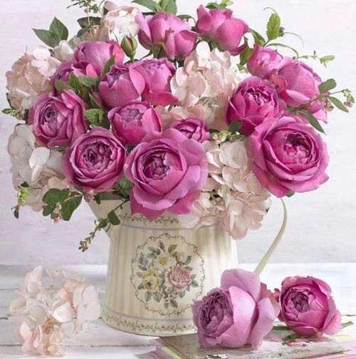 عکس پروف اینستا گل