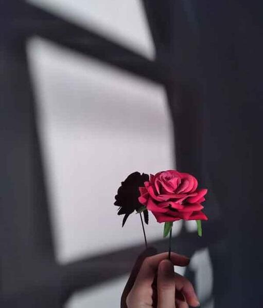 عکس برای اینستا گل