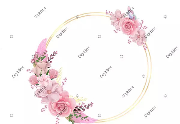 عکس برای هایلایت اینستا گل