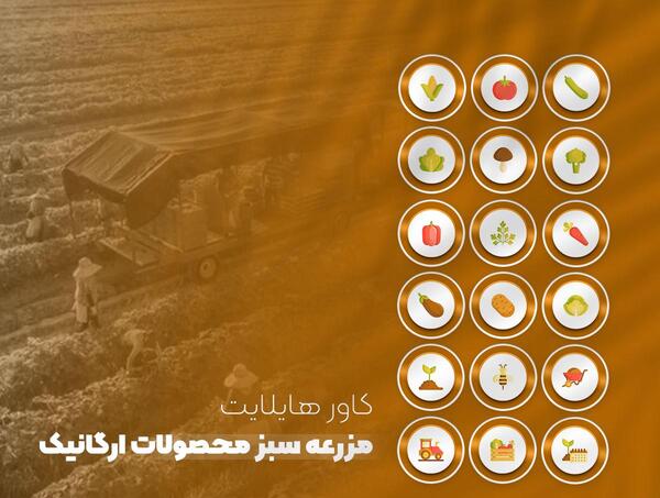 عکس برای هایلایت اینستا گل