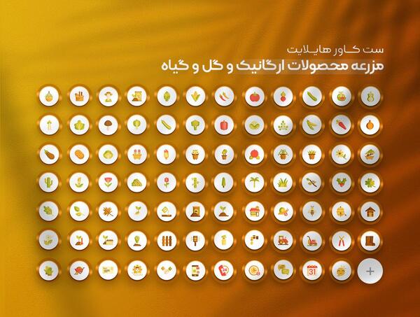 عکس برای هایلایت اینستا گل