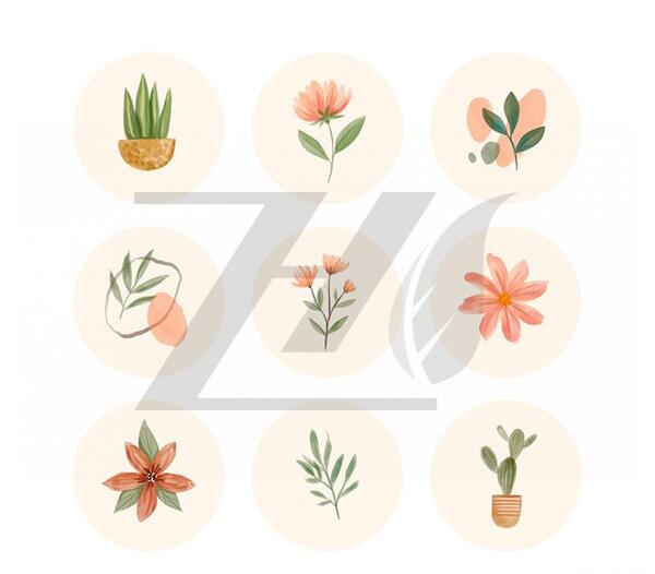 عکس هایلایت اینستا گل