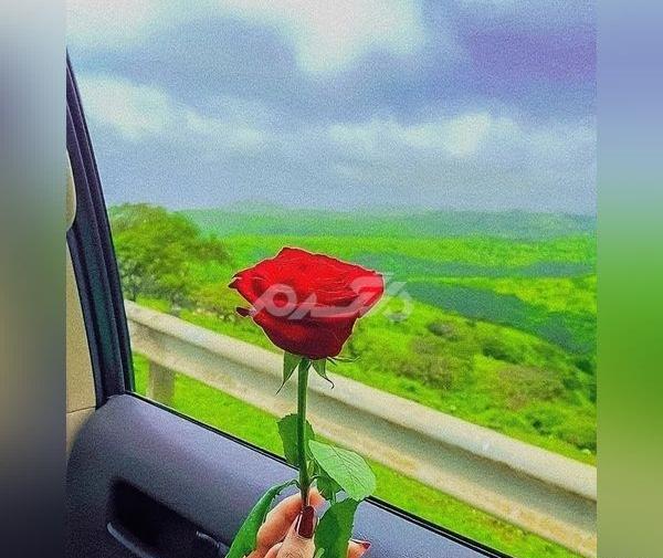 عکس پروف اینستا شیک
