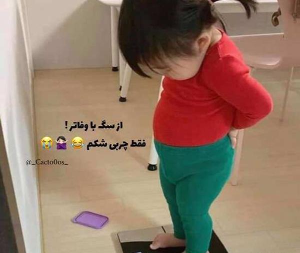 عکس پروفایل اینستا خنده دار