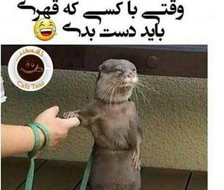 عکس های جالب اینستا