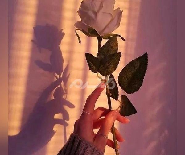 عکس پروفایل اینستا جدید زنانه