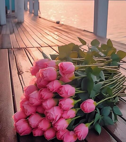عکس جدید رز