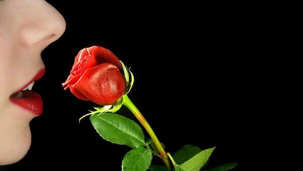 عکس جدید رز