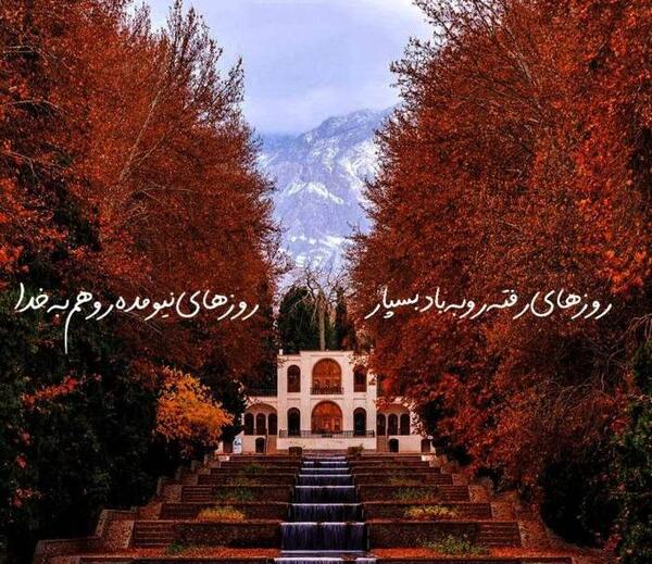 عکس جدید با