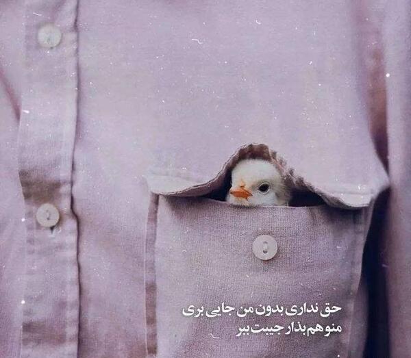 عکس جدید با