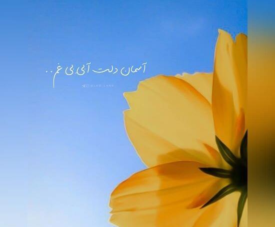عکس جدید برای وضعیت