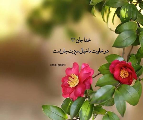 عکس جدید برای واتساپ