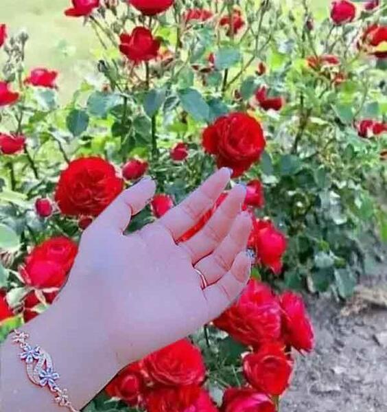 عکس جدید برای واتساپ