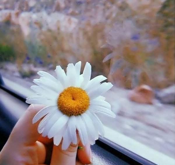 عکس های جدید قشنگ