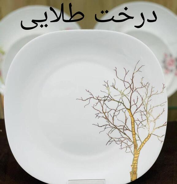 عکس ظروف آرکوپال جدید