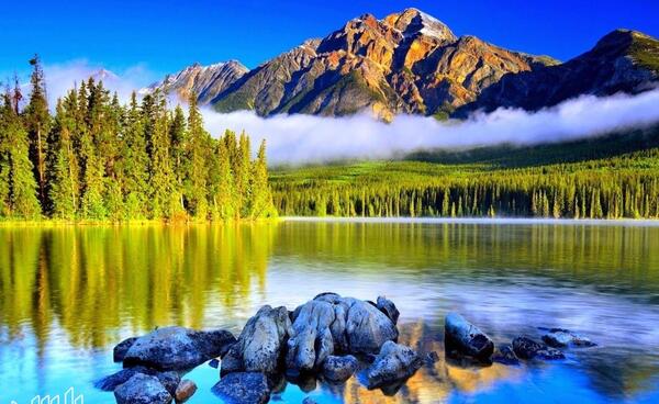 عکس های جدید طبیعت