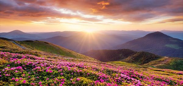 عکس های جدید طبیعت با کیفیت بالا