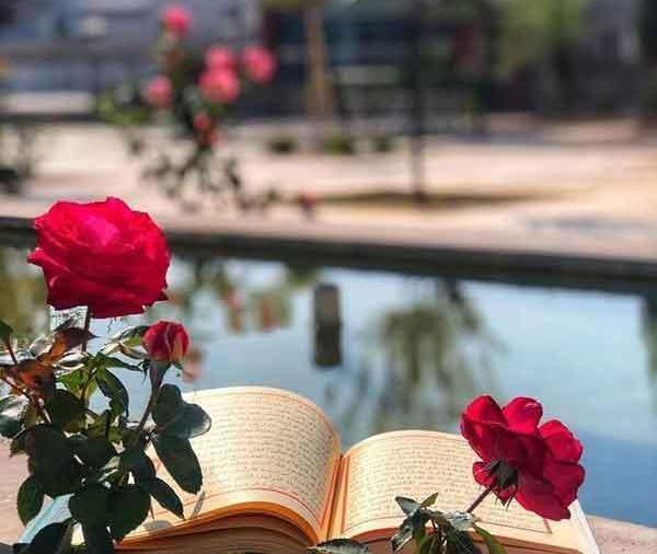 عکس جدید واسه پروفایل واتساپ