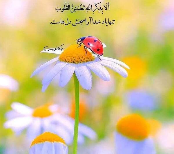 عکس پروفایل جدید امسال واتساپ
