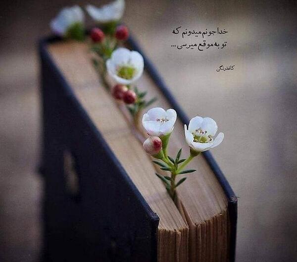عکس جدید پروفایل خدا