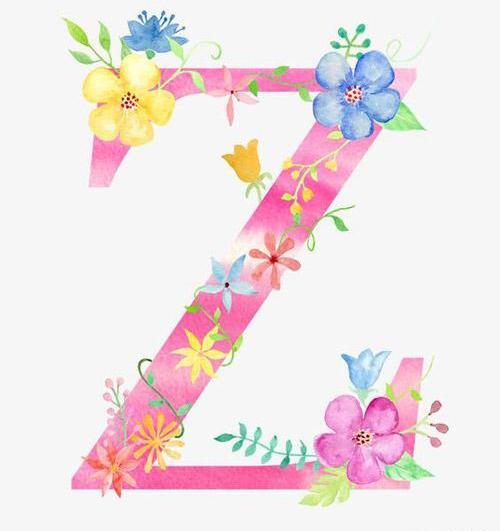 عکس های پروفایل z