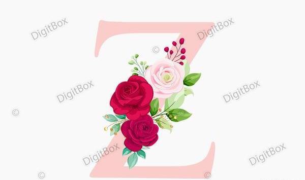 عکس های پروفایل z