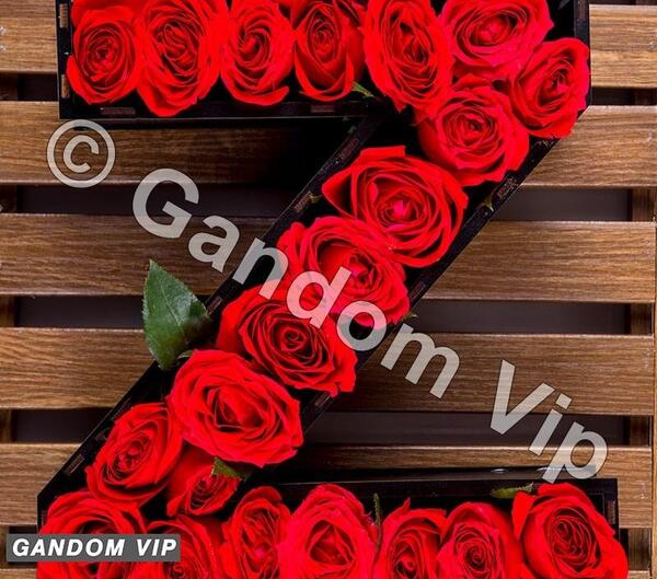 عکس های حروف z
