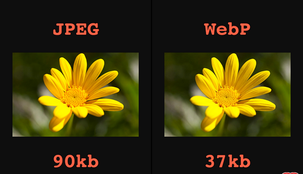 عکس های webp