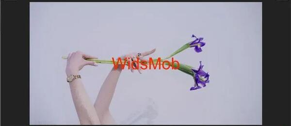 عکس های webp