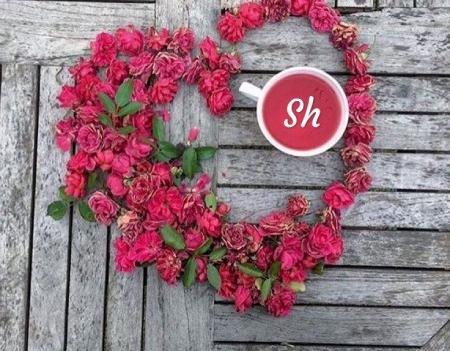 عکس های خوشگل از حرف sh