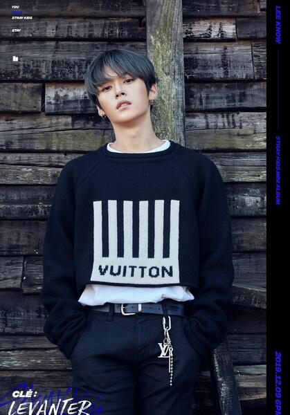 عکس های stray kids