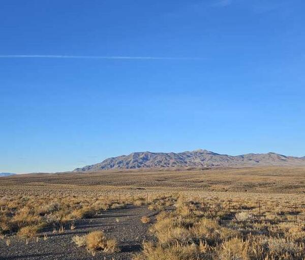 عکس های nevada