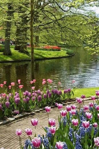 عکس های متحرک زیبا