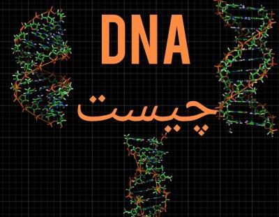 عکس های dna