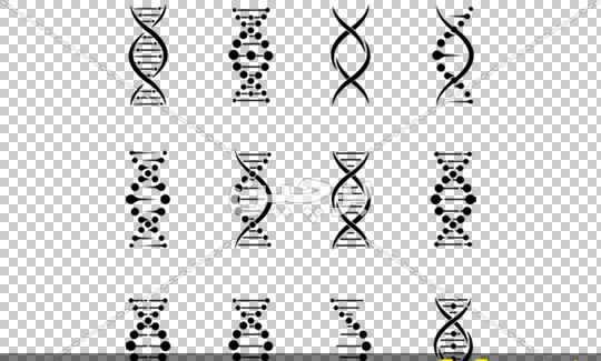 عکس های dna
