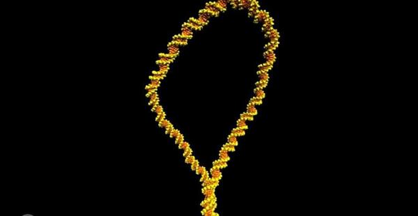 عکس های dna
