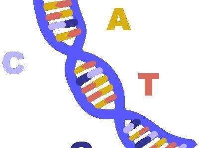 عکس های dna